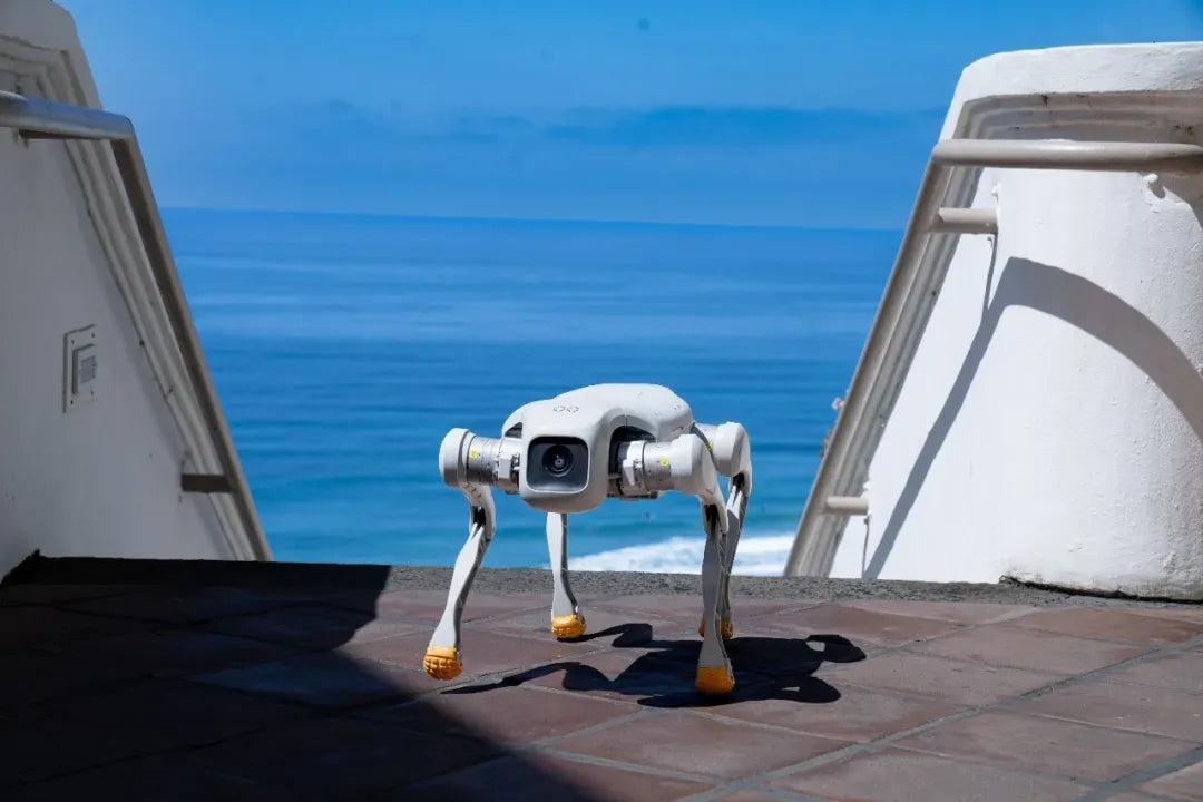 Faraday Future Announces Its Latest Robot, the FX Aegis Quadruped, has Completed Its Full Compliance Certification in th